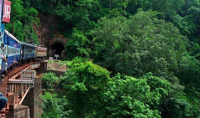 Train entering tunnel with green trees