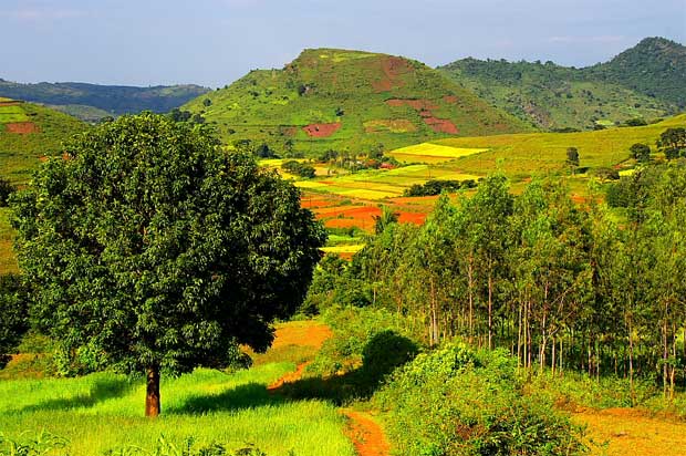 Film Shooting point at Araku