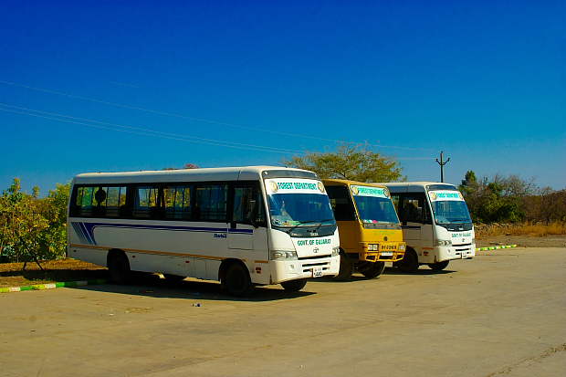 Bus at Devalia forest