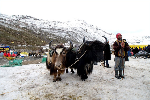 Man at Rohtang pass