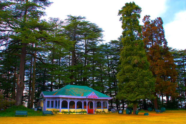 Chail Palace