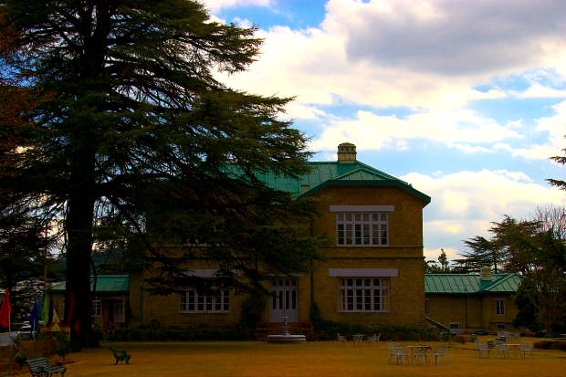 Chail Palace