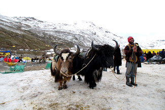 Rohtang Pass