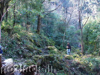 Trekking to khajjiar from Kalatop