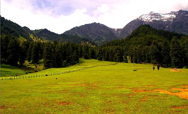 Aru Valley