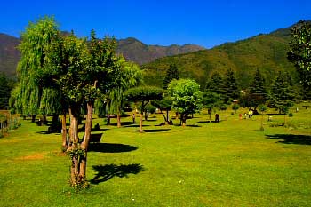 Botanical Garden at Srinagar