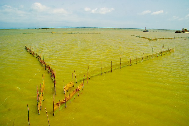 Fishing in Chilika Lake