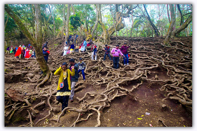 Kodaikanal Guna Caves