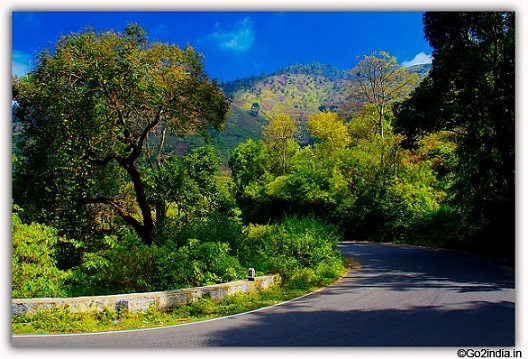 At the top of Kodaikanal