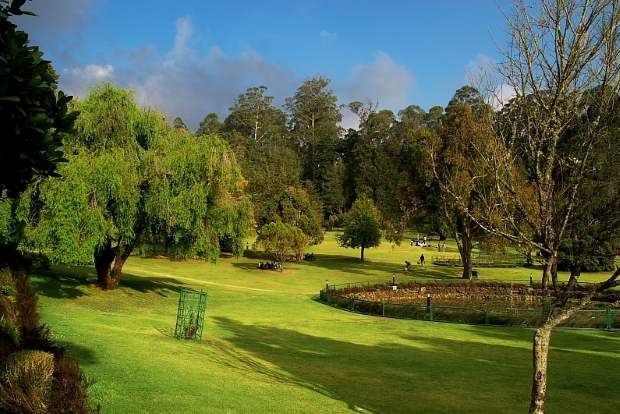 Ooty Botanical garden