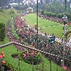 Ooty