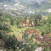 Ooty valley view point