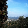 Malai Mahadeshwara hills in Chamarajnagar district of Karnataka