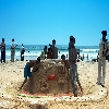 Cricket world cup fever