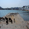 Pushkar Lake