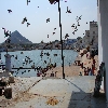 Pushkar Lake