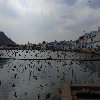 Pushkar Lake