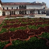 Grape Garden Inside Agra Fort