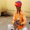 Snack charmer at Rajasthan
