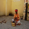 Snack charmer at Rajasthan