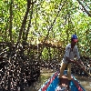 Motor boat journey from Baratang to limestone caves inside forest