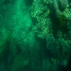 Sea corals at Havelock beach of Andaman