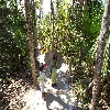 Step to reach  mud volcano near Baratang of Andaman