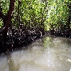 Sea water at bay to reach limestone caves in Baratang of ANdaman