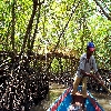 Forest watch point at bay near limestone cave of Baratang in Andaman