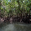 Boat journey at Bay to reach limestone caves at Baratang of Andaman