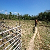 walk way to limestone cave of Andaman at Baratang