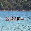 North bay coral view snorkeling for visitors at Andaman