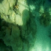 Under water coral view through glass boat in North bay of Andaman