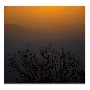 Golden hue at Agumbe ghat