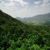 Araku valley visakhapatnam in Andhrapradesh India