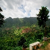 Araku valley visakhapatnam in Andhrapradesh India