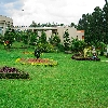 Front garden at Punami resort Araku