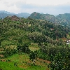 Araku Valley near Visakhapatnam
