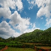 Valley at Araku