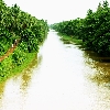 Village canal for agriculture in Kona seema Godavari belt Andhrapradesh