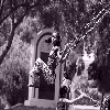 Girl playing in a hanging