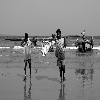 Fiisher men bringing fishes to sea shore from boats, Rishikonda beach Vizag