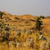 View of desert at Jaisalmer 