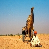 Guide with its camel cart at Desert 