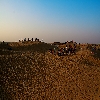 Tourists at Sam sand dunes near Jaisalmer 