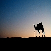 Camel moon just after sunset