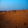 Evening at Sam Sand dunes 