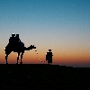 Sunset at Sam Sand dunes near Jaisalmer