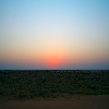 Red color of sky during sunset time in Desert
