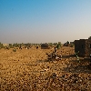 Desert near Jaisalmer 
